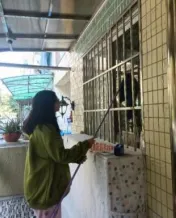 策马扬鞭正当时,劳动砺志迎中考 ——珠海市夏湾中学初三年级“我的中国年”寒假劳动实践活动 第28张