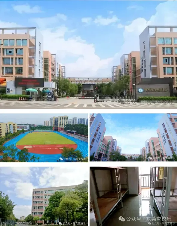 东莞中考家庭必看!公办中职汇总(升学率、简介、分数线) 第31张