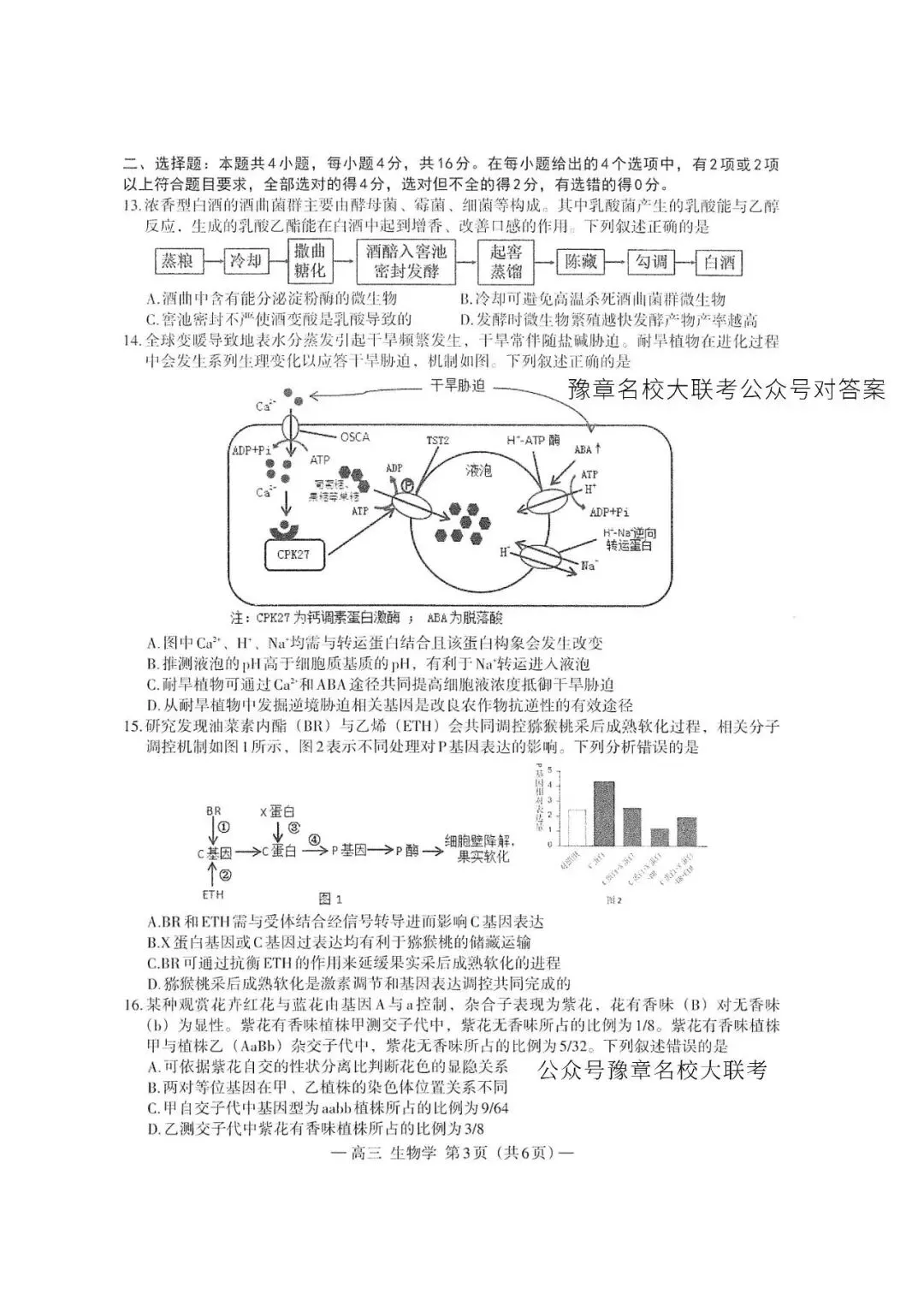 南昌市一模卷2026高三生物试卷与答案 第3张
