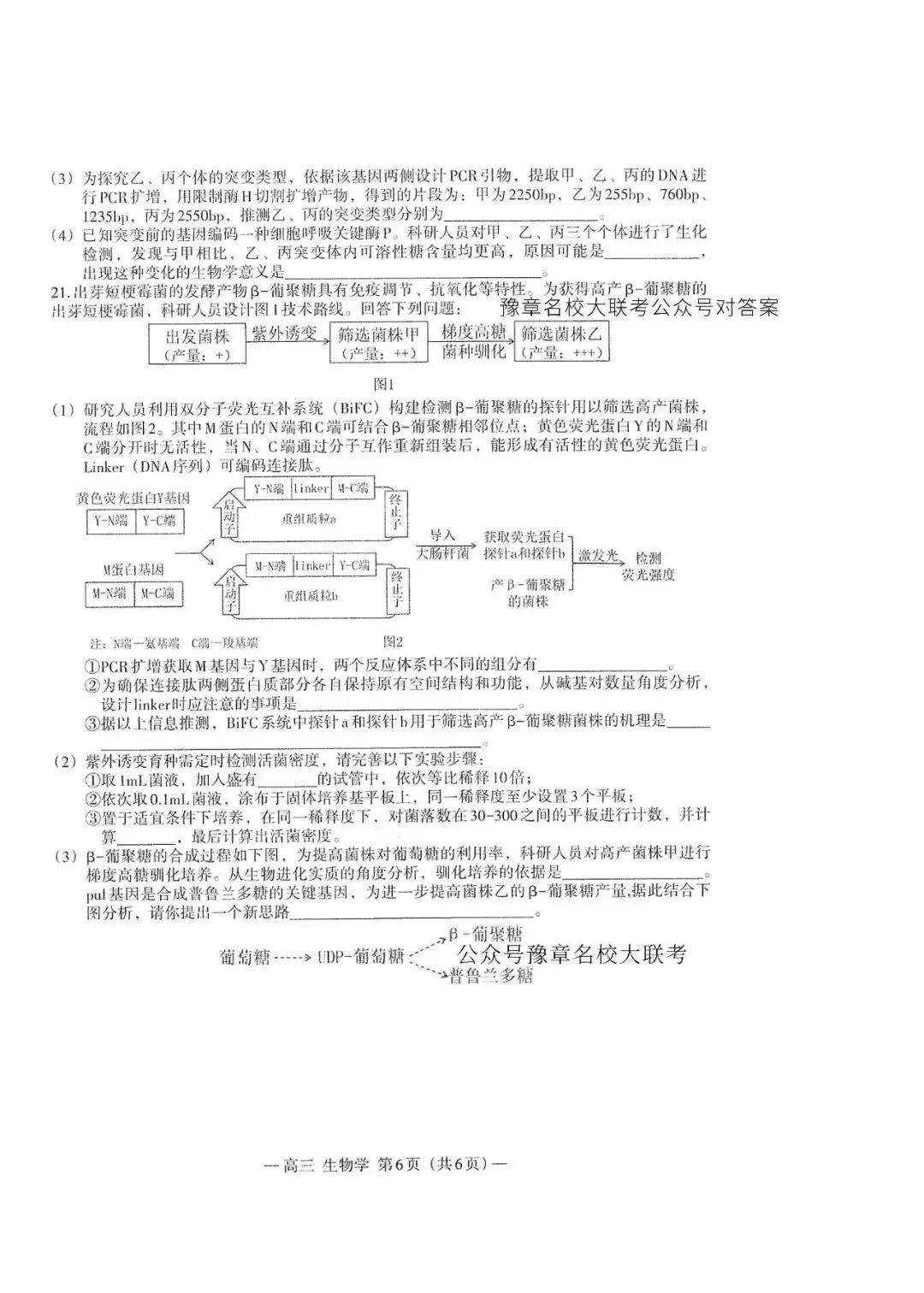 南昌市一模卷2026高三生物试卷与答案 第6张