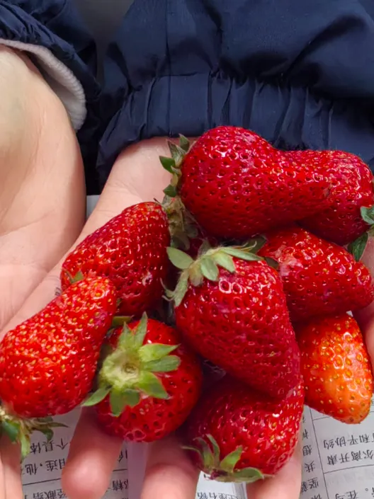 全力以赴,所愿皆得 | 正道中学初三中考冲刺纪实 第85张 全力以赴,所愿皆得 | 正道中学初三中考冲刺纪实 第85张