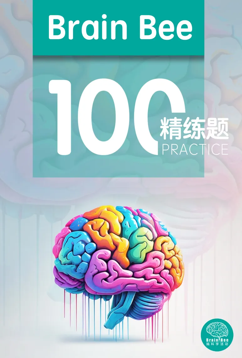 2026BrainBee今日开考!历年真题集+核心知识点笔记,助力冲奖! 第4张
