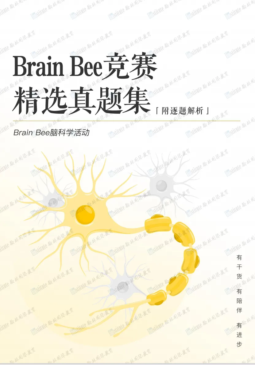 2026BrainBee今日开考!历年真题集+核心知识点笔记,助力冲奖! 第5张