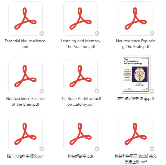 2026BrainBee今日开考!历年真题集+核心知识点笔记,助力冲奖! 第7张