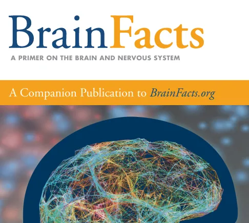 2026BrainBee今日开考!历年真题集+核心知识点笔记,助力冲奖! 第8张