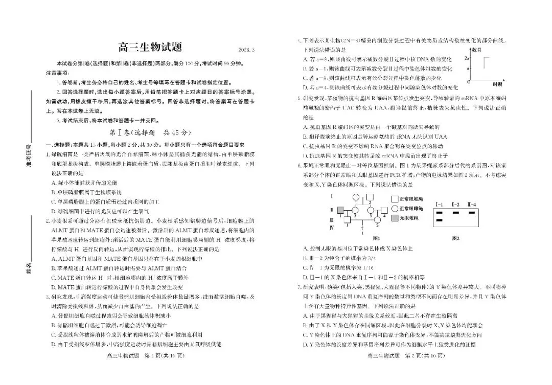 【德州一模】2026届高三第一次模拟考试 第7张