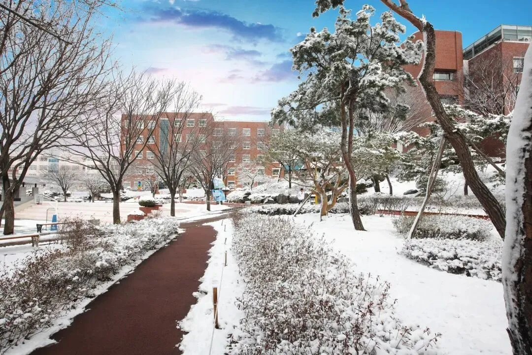 中考分流下的清醒选择:韩国订单式留学,不是镀金,是给孩子一条稳路 第1张 中考分流下的清醒选择:韩国订单式留学,不是镀金,是给孩子一条稳路 第1张