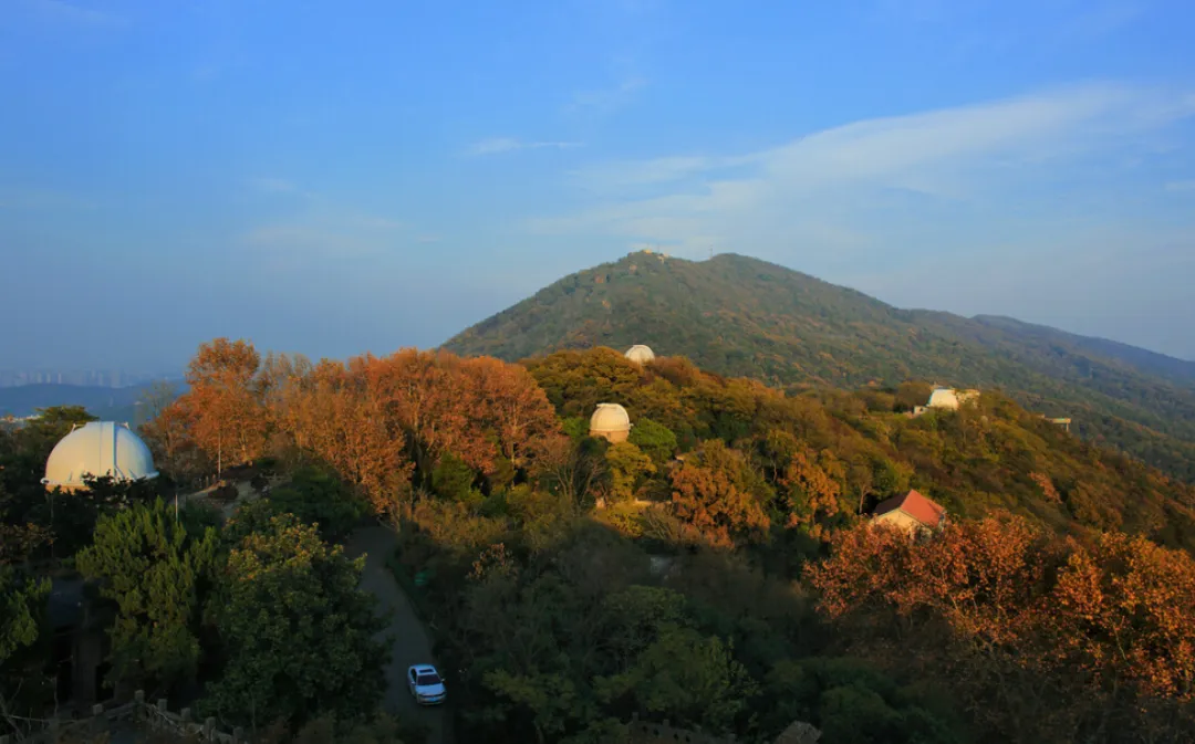 【判断推理】逻辑判断秒杀技巧,附真题解析 第48张