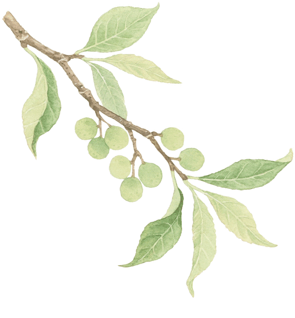 【判断推理】逻辑判断秒杀技巧,附真题解析 第53张