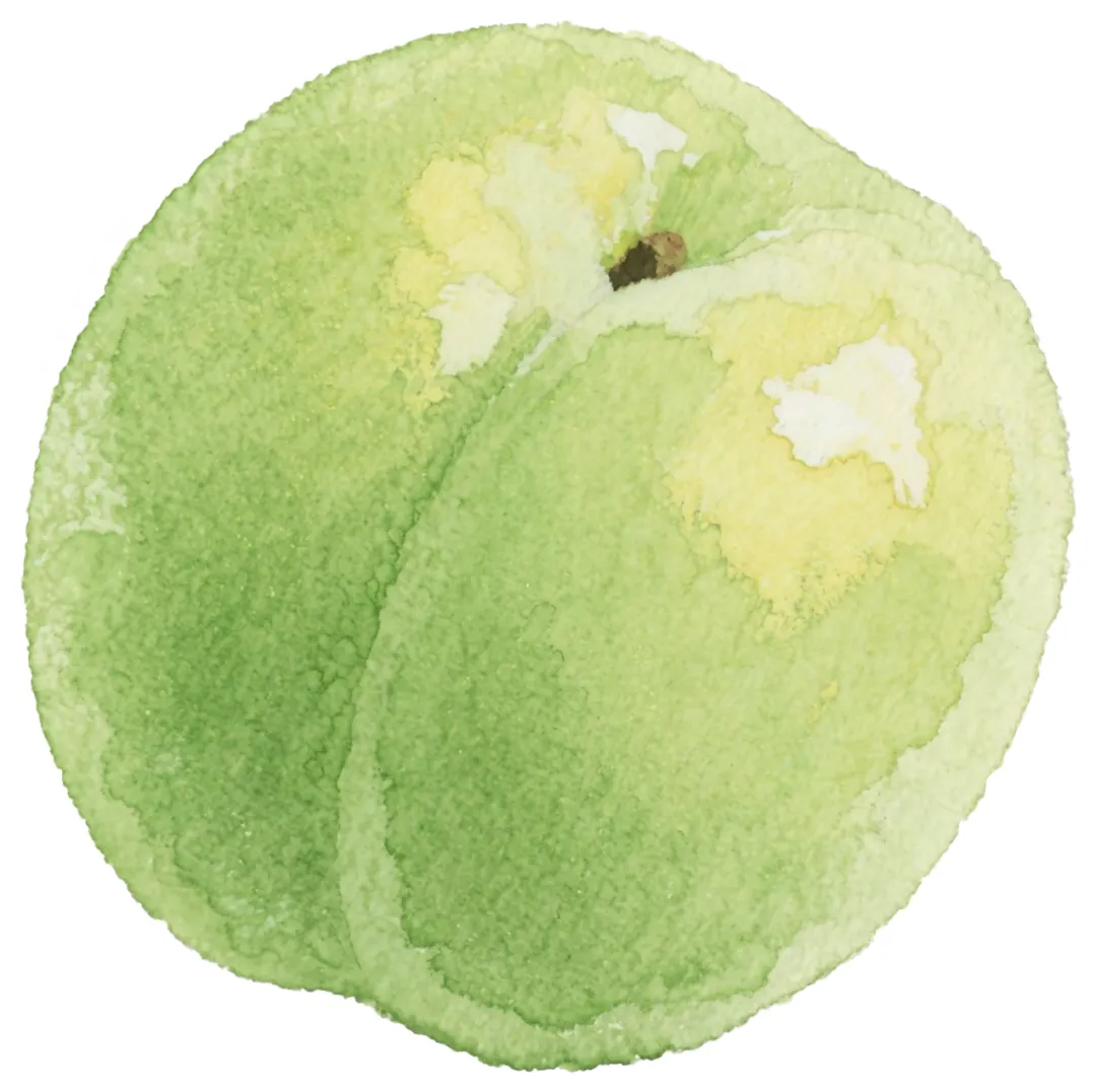 【判断推理】逻辑判断秒杀技巧,附真题解析 第55张