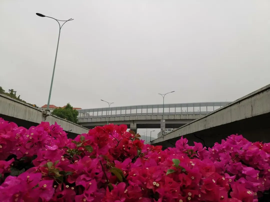 袁建平:2026广州中考作文思辨方向的可能性有多大? 第1张