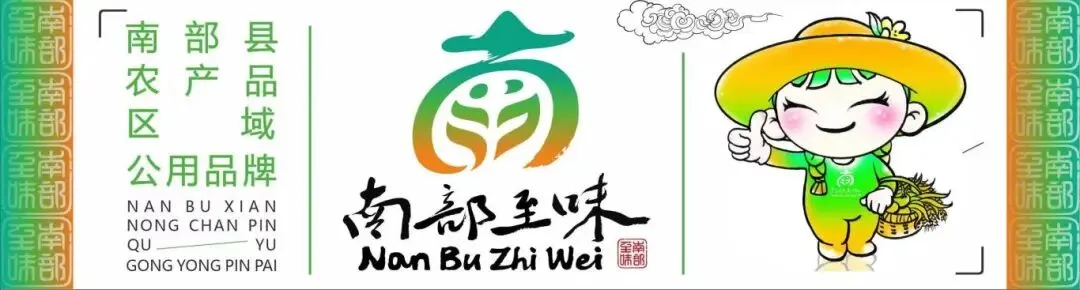 南部县2026年中考报名通知发布(附时间 地点 流程) 第2张