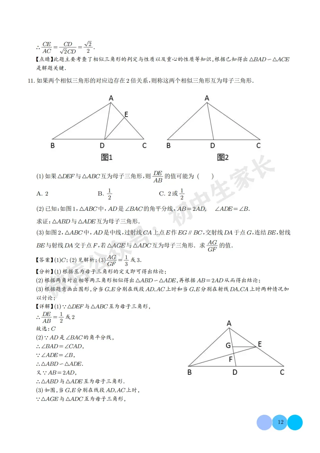 2026年中考数学相似三角形重难点模型【五大模型】(解析版) 第13张