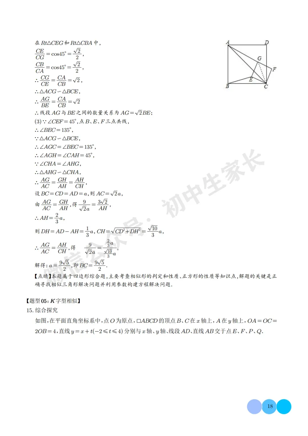 2026年中考数学相似三角形重难点模型【五大模型】(解析版) 第19张
