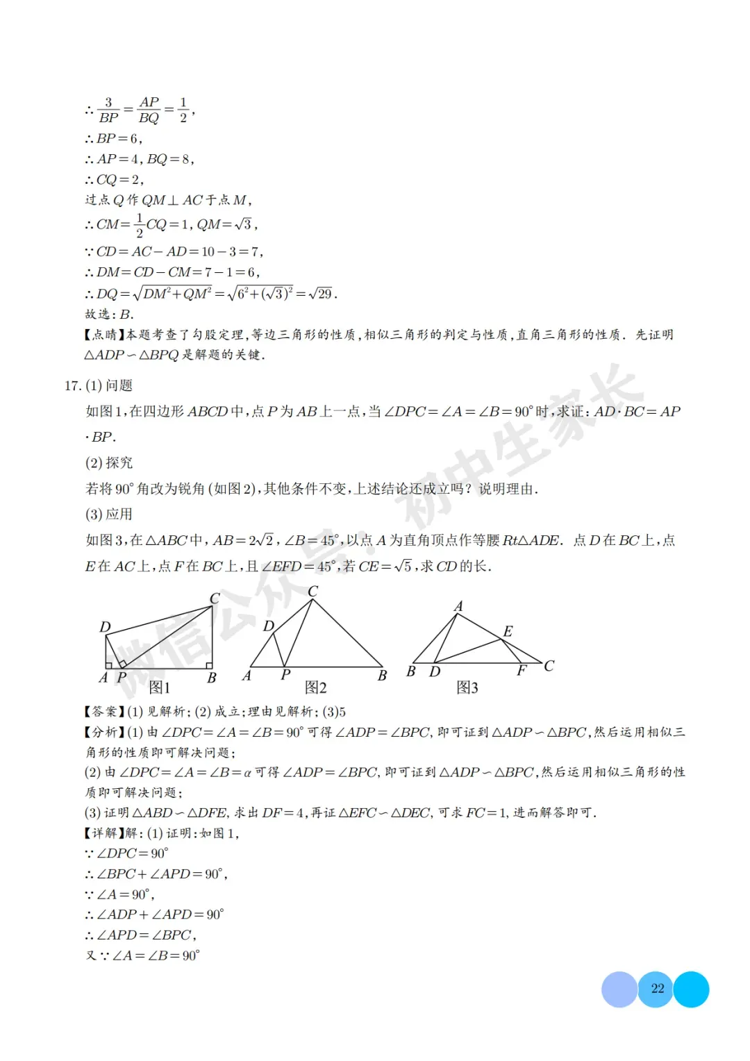 2026年中考数学相似三角形重难点模型【五大模型】(解析版) 第23张