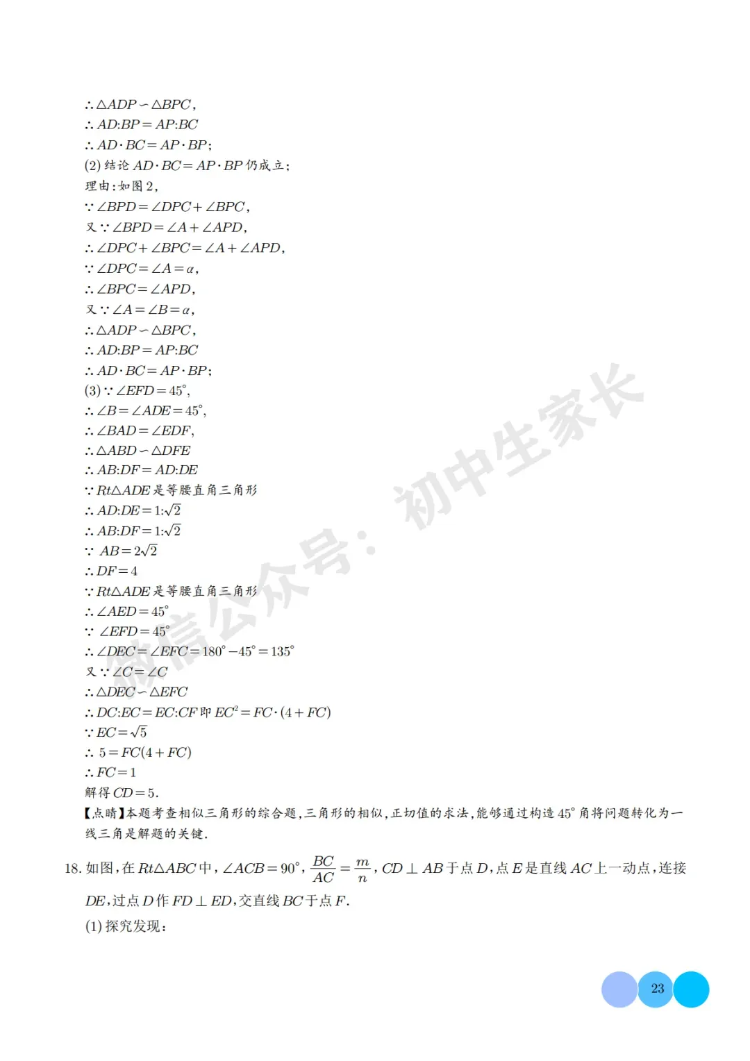 2026年中考数学相似三角形重难点模型【五大模型】(解析版) 第24张