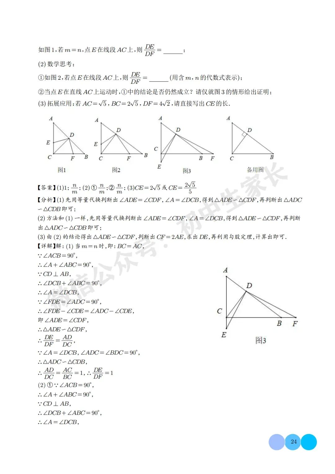 2026年中考数学相似三角形重难点模型【五大模型】(解析版) 第25张