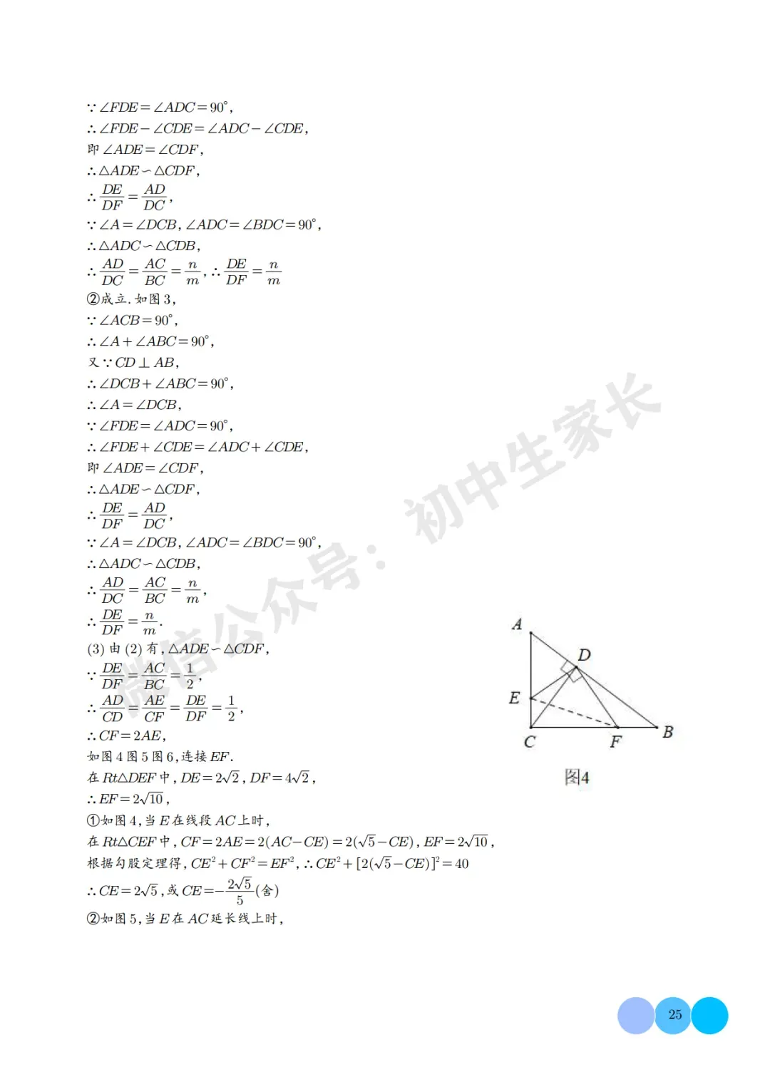 2026年中考数学相似三角形重难点模型【五大模型】(解析版) 第26张