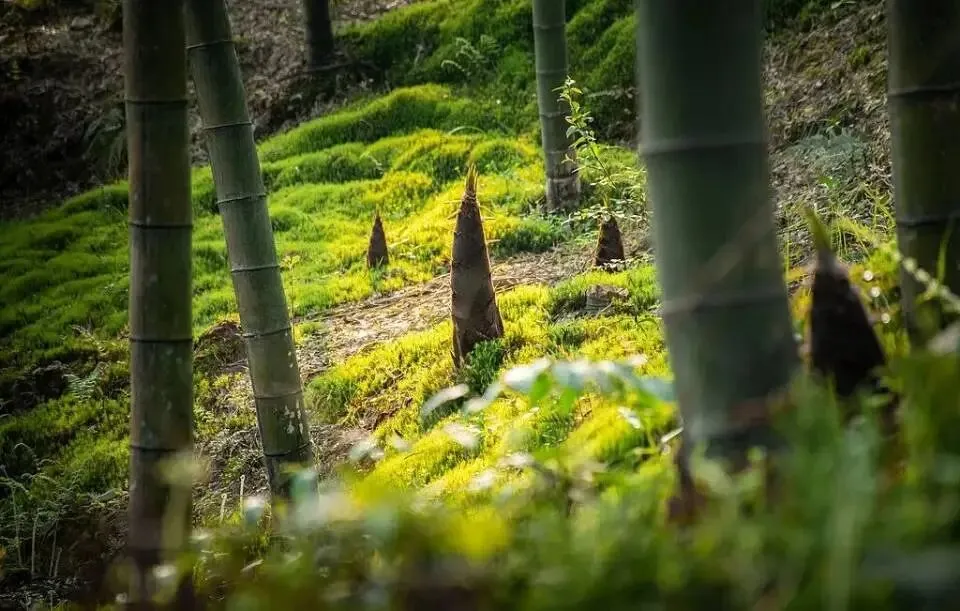 面试训练208:广东事业单位统考面试真题解析 第1张 面试训练208:广东事业单位统考面试真题解析 第1张