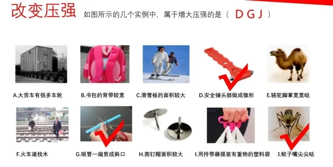 2026年中考物理一轮复习《力学》要点解析,考前一定要搞懂! 第11张