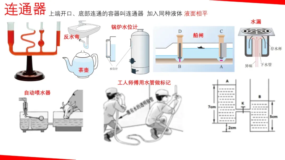 2026年中考物理一轮复习《力学》要点解析,考前一定要搞懂! 第15张
