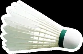 银川中考新增羽毛球、乒乓球 第10张