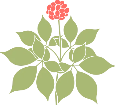 510分新中考的残酷真相:数学已成“生死线”,2026年错1分可能落后百名 第6张 510分新中考的残酷真相:数学已成“生死线”,2026年错1分可能落后百名 第6张