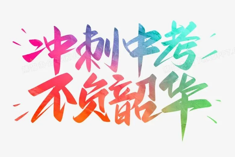 潜心砺剑战中考,同心逐梦创辉煌!——花桥初中九年级中考誓师大会燃情启幕 第83张