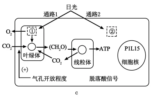 二轮复习考前必做:广东高考真题 第2张