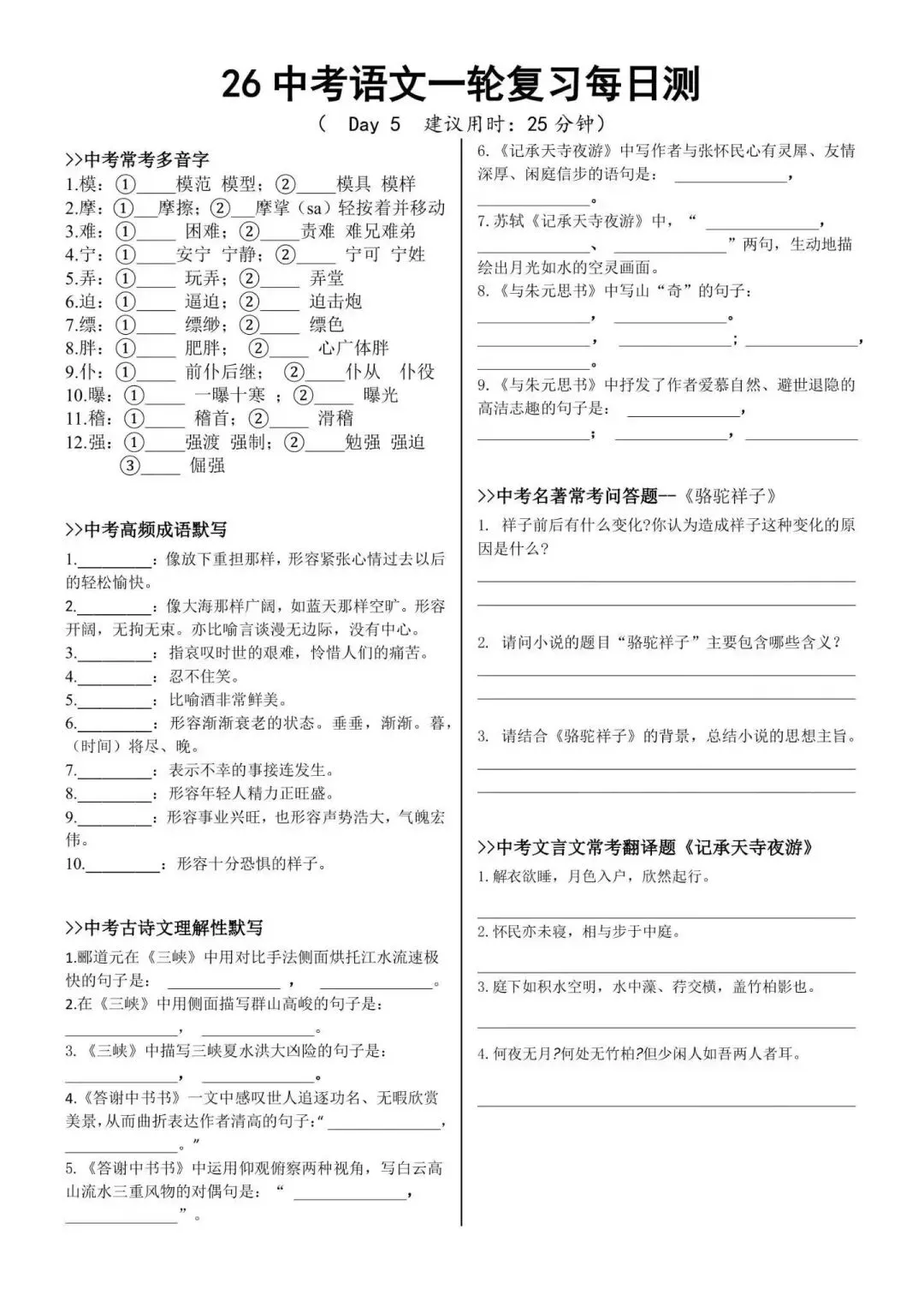中考必备 一轮语文复习每日测 巩固基础提升实力电子文档可打印) 第5张