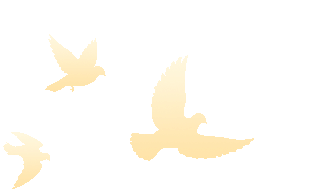 【盱眙县实验中学·中考誓师】旌旗漫卷凌云志,热血誓师赴中考 第6张