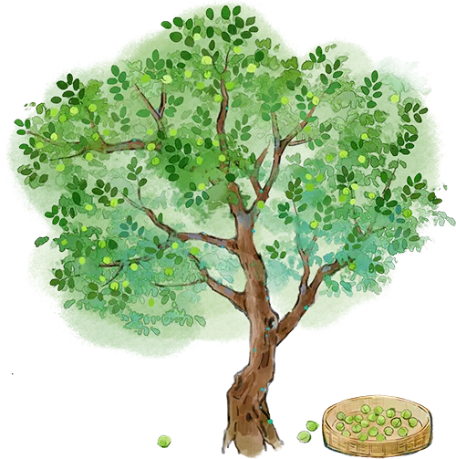 法大纪检监察学考什么:五年真题告诉你这些规律! 第11张