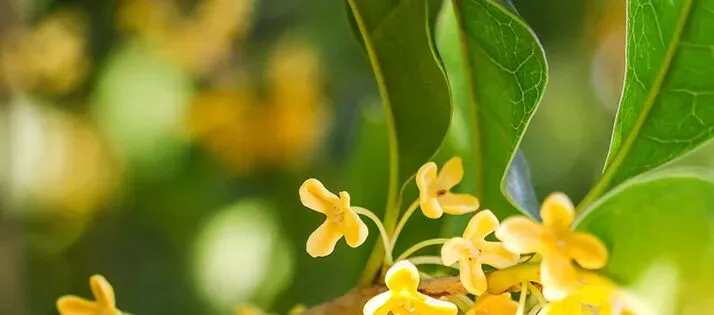 中考来临之际,聊一点关于考试的“干货”? 第6张