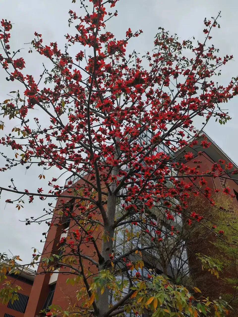 中考百日誓师,倒计时开始 第1张