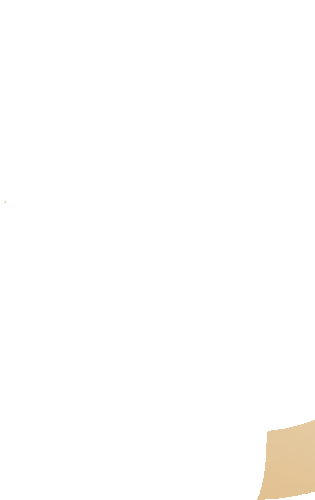 蚌埠高新实验学校九年级体育与健康学科模拟测试服务项目报名期限延长公告 第7张