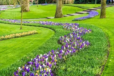 2026年中考化学一轮复习专题三化学与社会 第20张