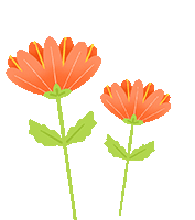 燃!永盛贤明学校2026届中考百日冲刺誓师大会,以少年之姿,赴六月荣光! 第6张