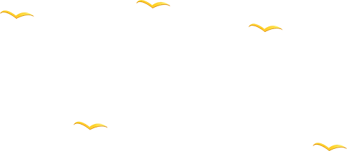 决战中考,为梦起航 | 广州市南武中学附属学校初三百日誓师暨拓展实践活动纪实 第11张