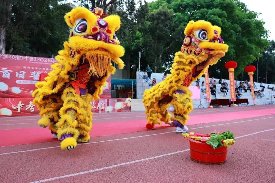 凝心聚力迎中考 踌躇满志展雄风——记加美学校2026年中考百日誓师大会 第48张