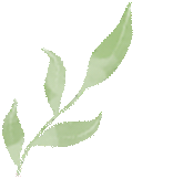 凝心聚力迎中考 踌躇满志展雄风——记加美学校2026年中考百日誓师大会 第109张