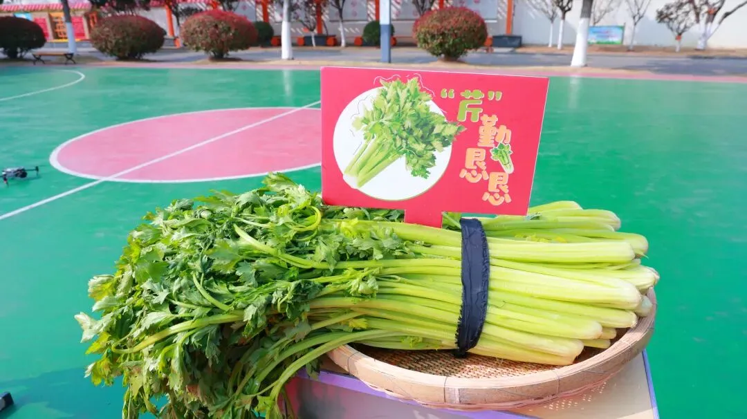 凝心聚力·逐梦中考——泗洪育才启明学校九年级中考备考大会 第9张