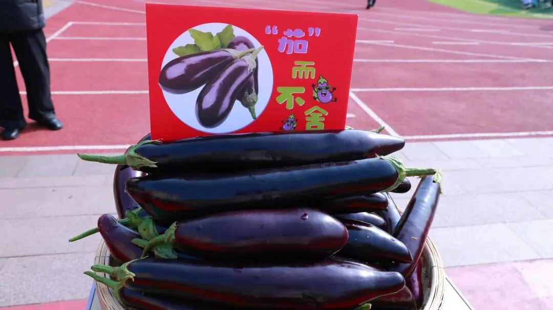 凝心聚力·逐梦中考——泗洪育才启明学校九年级中考备考大会 第10张