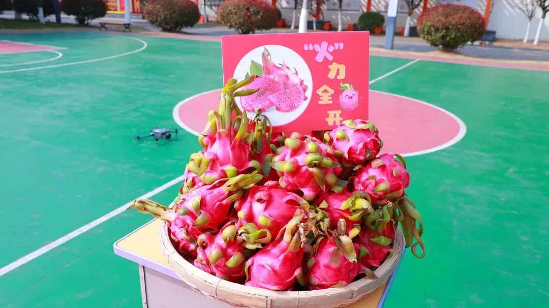 凝心聚力·逐梦中考——泗洪育才启明学校九年级中考备考大会 第11张