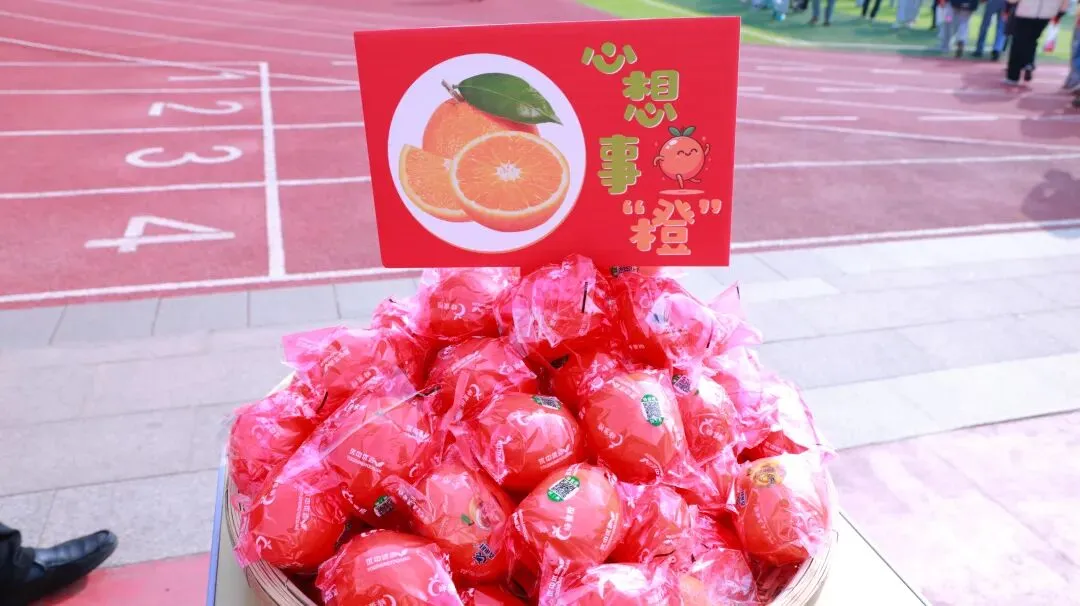 凝心聚力·逐梦中考——泗洪育才启明学校九年级中考备考大会 第12张