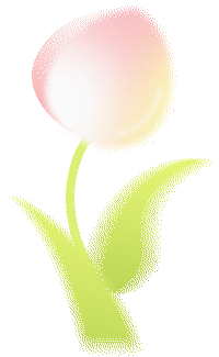 中考作文押题【励志拼搏类】(写作指导+范文10篇),精读细研,备战2026! 第4张 中考作文押题【励志拼搏类】(写作指导+范文10篇),精读细研,备战2026! 第4张