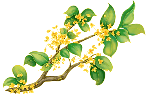 电白区实验中学隆重召开2026年中考提质增效动员大会 第34张