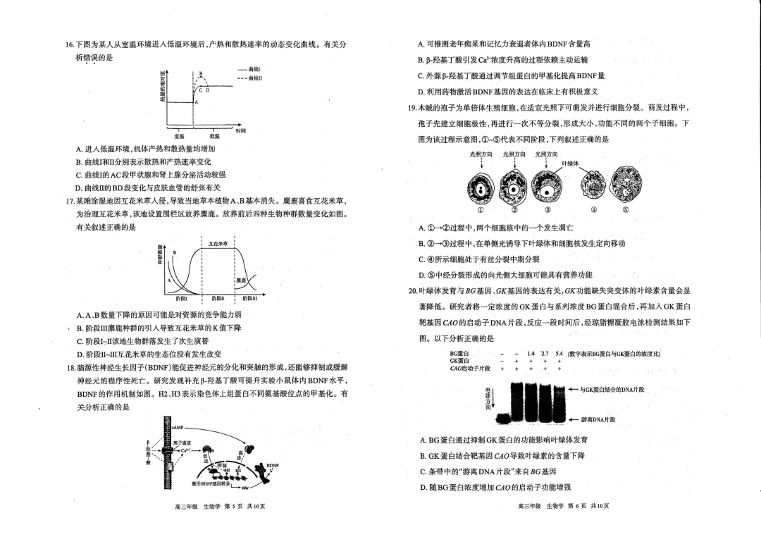 呼和浩特市2026年高三年级第一次模拟考试(试卷) 第24张