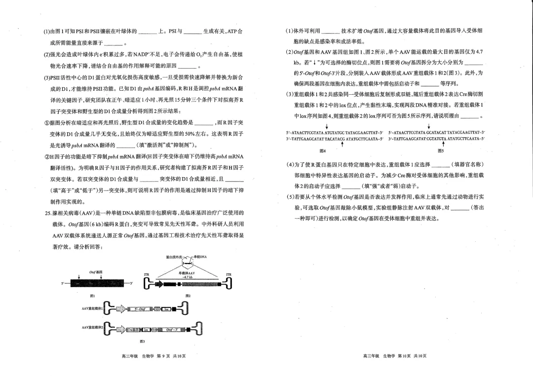 呼和浩特市2026年高三年级第一次模拟考试(试卷) 第26张