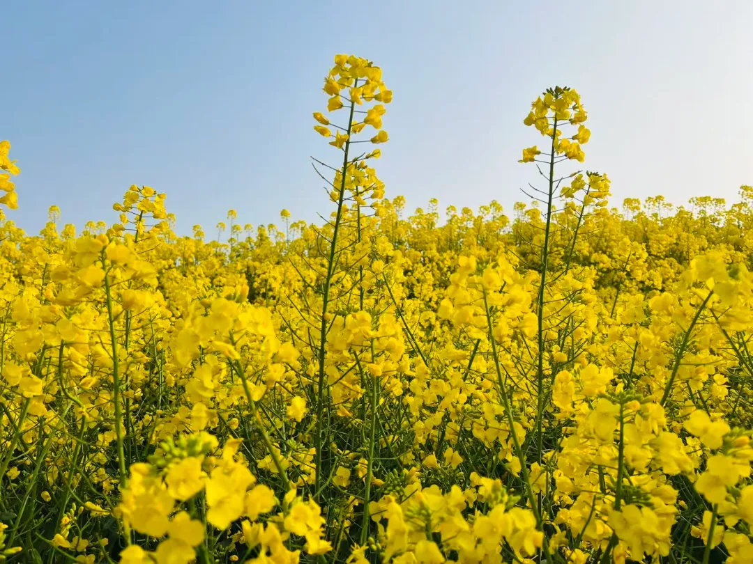 85天后中考丨穿越时空,遇见未来——写一份来自未来的“人生说明书” 第2张