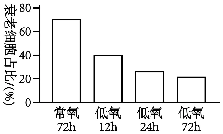 2026届广东省梅州市高三一模生物试卷 (3月) 第4张 2026届广东省梅州市高三一模生物试卷 (3月) 第4张